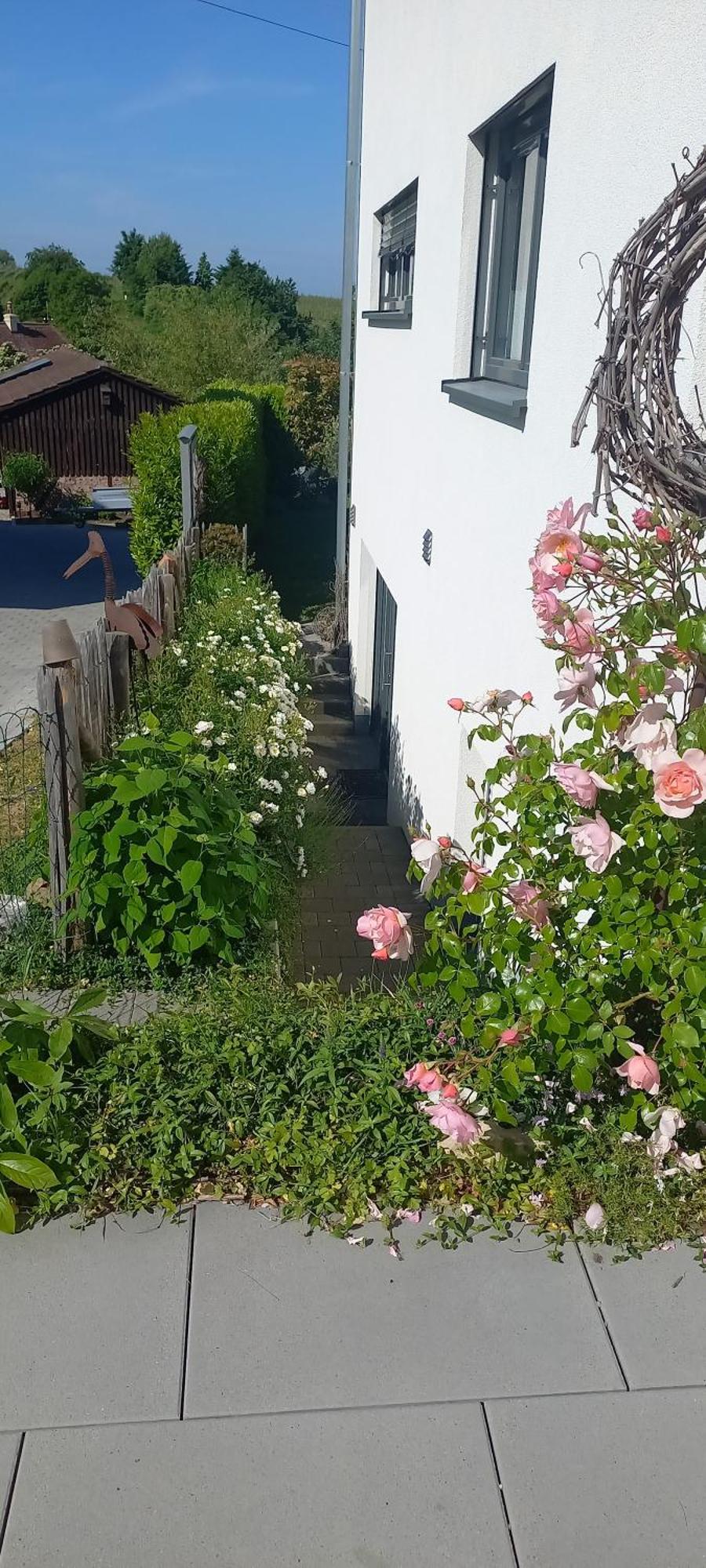 Ferienwohnung Rebgaertle Britzingen Exterior photo